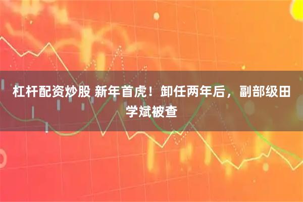 杠杆配资炒股 新年首虎！卸任两年后，副部级田学斌被查