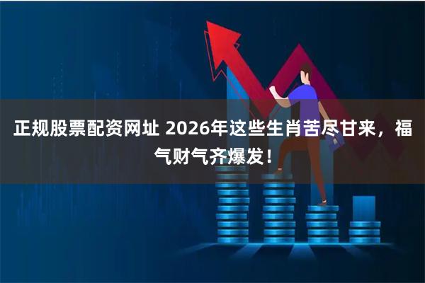 正规股票配资网址 2026年这些生肖苦尽甘来，福气财气齐爆发！